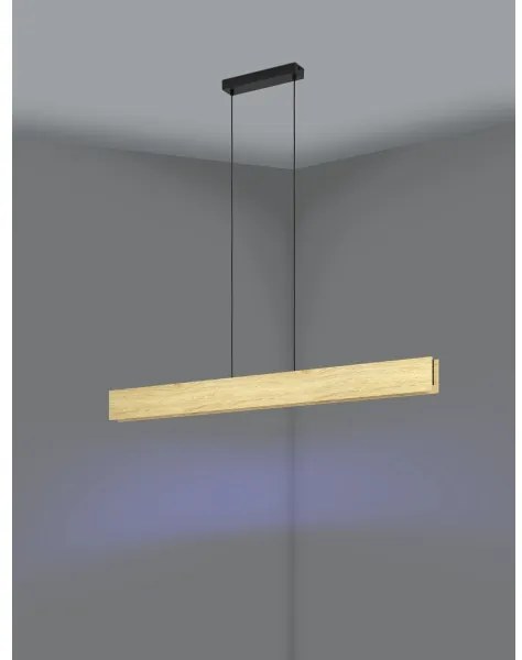 Eglo 900388 - LED RGBW Dimmelhető csillár zsinóron ANCHORENA-Z LED/35W/230V