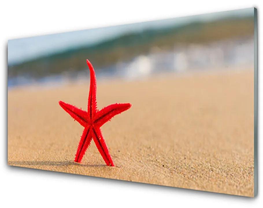 Üvegkép Starfish Beach Art 140x70 cm