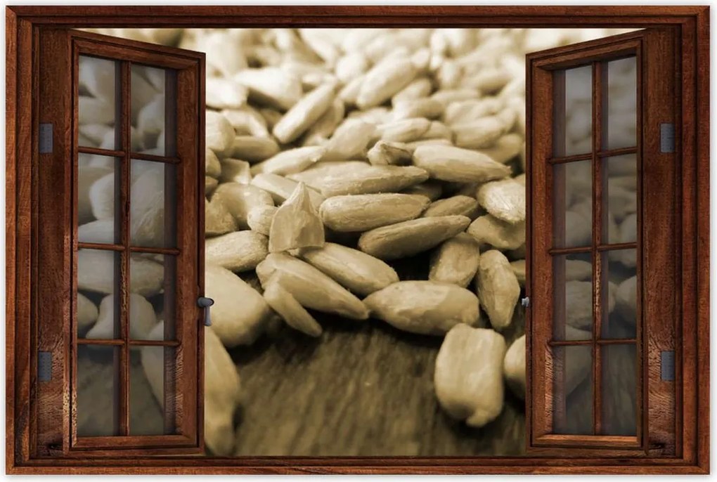 Poszterek 90x60 Hántolt napraforgó