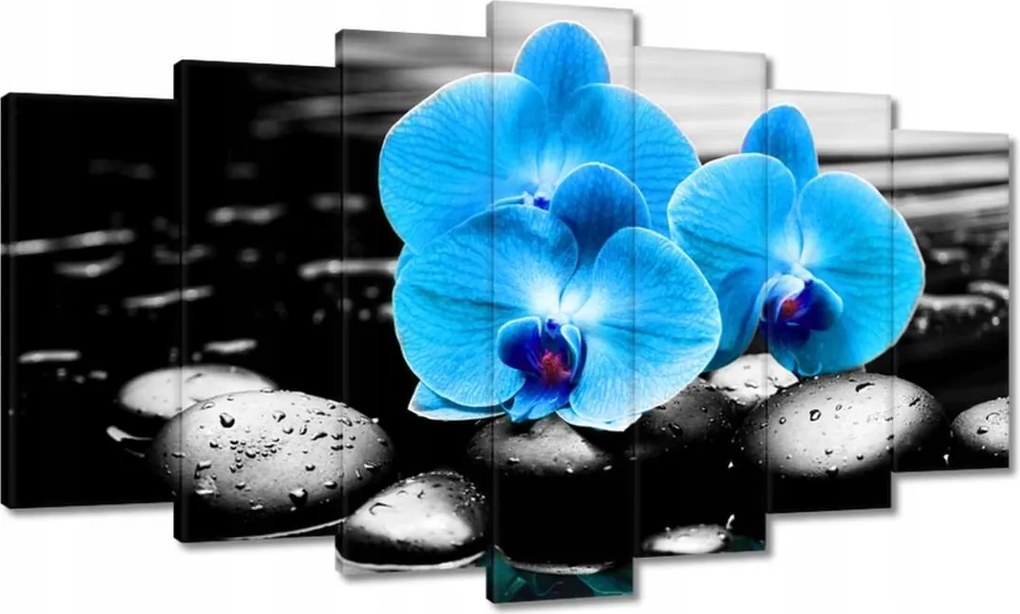 Vászonkép 140x80 Türkiz orchidea Virág