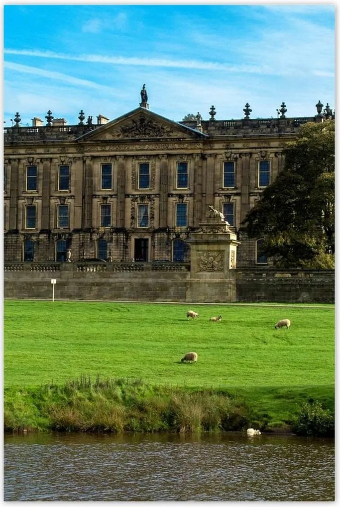 Poszterek 60x90 Bárányok a gyepen