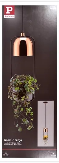 Paulmann 79749 - 1xGU10/20W Csillár zsinóron FANJA 230V