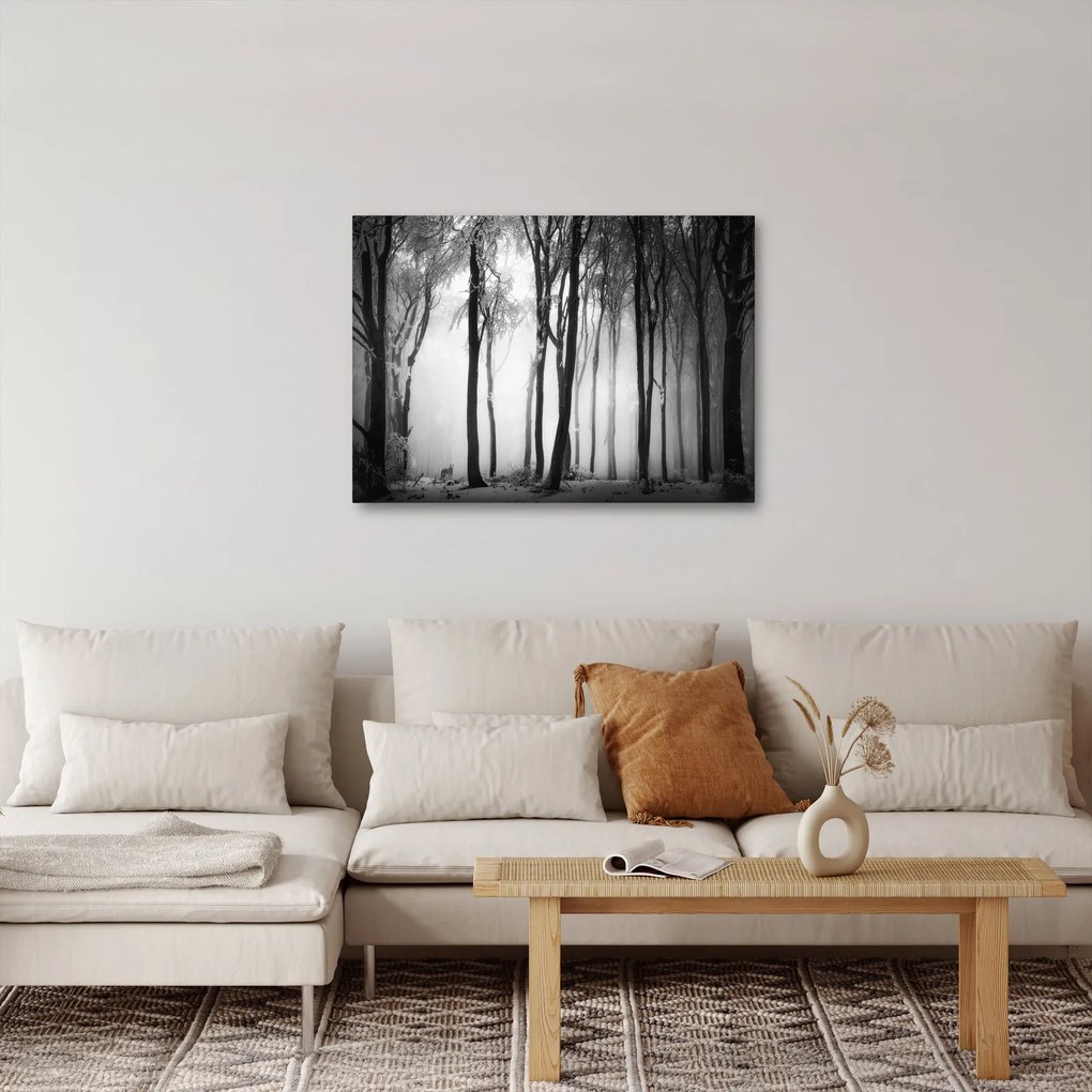 Kép - Farkas a sötét erdőben (70x50 cm)