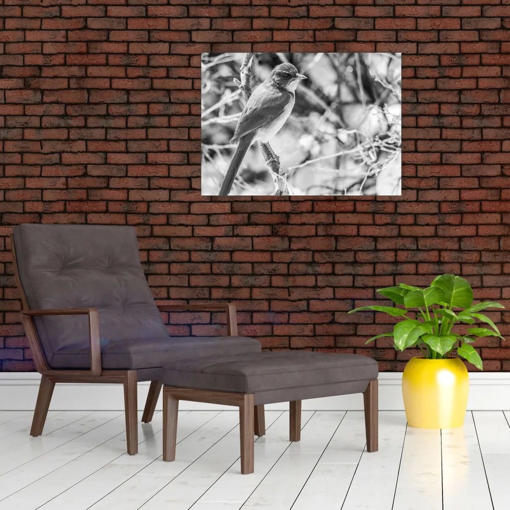 Üveg kép - Kék madár télen (70x50 cm)