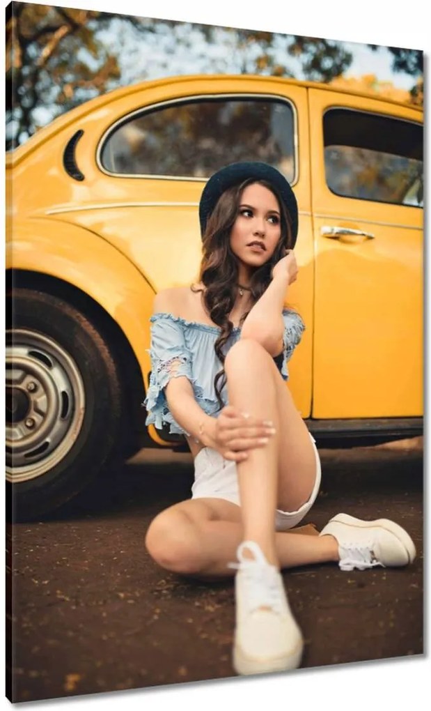 Vászonkép 70x100 Bogár Volkswagen Vw Auto