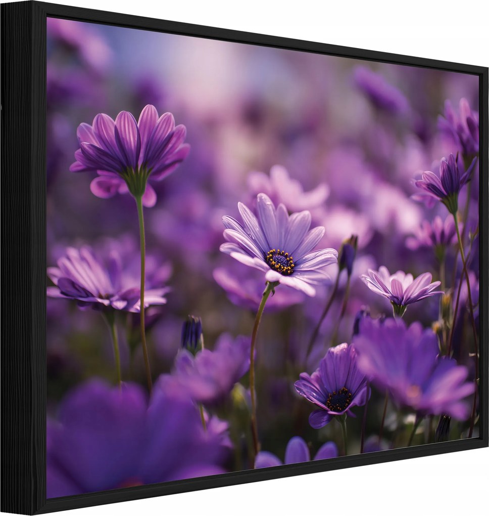 Vászonkép Fekete Keretben Mezei Virágok Természet Nappali Hálószoba 40x30