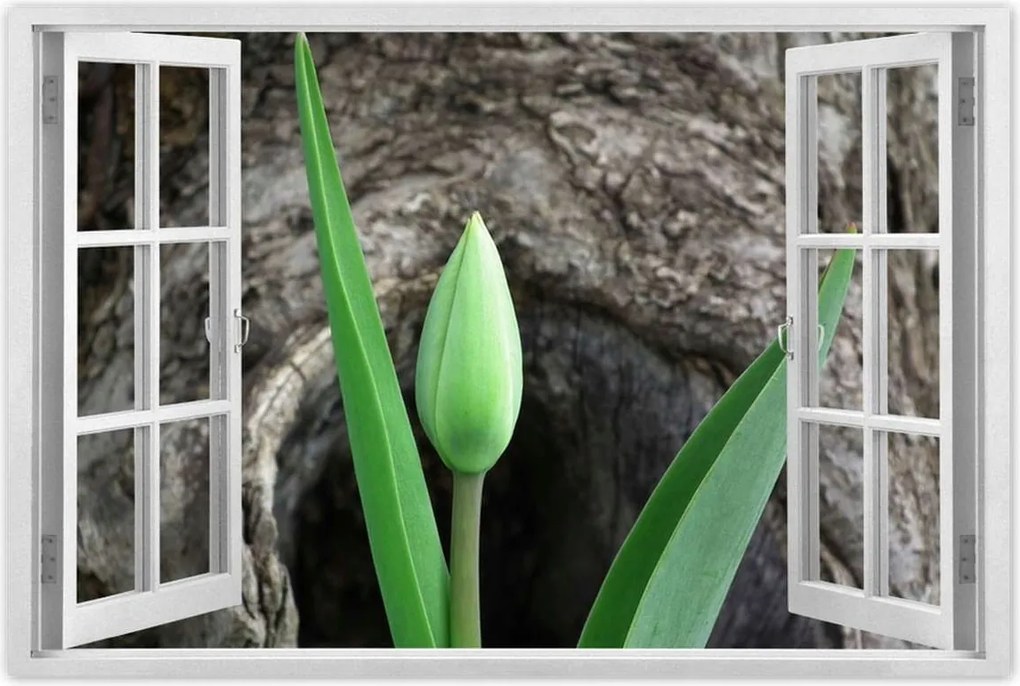 Poszterek 120x80 Zöld tulipán