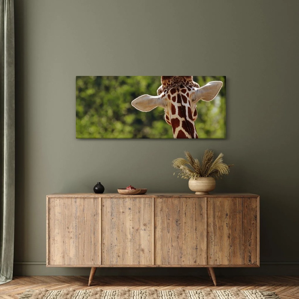 A zsiráf képe hátulról (120x50 cm)