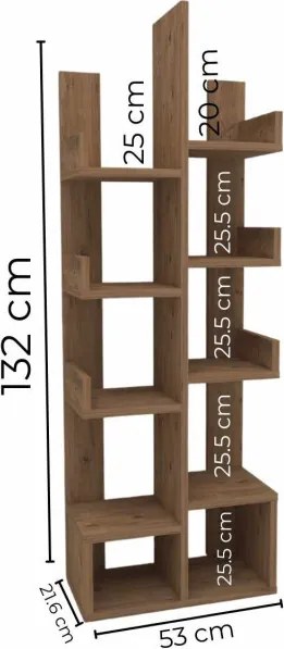Pamfilya könyvespolc, atlanti fenyő, 53 cm