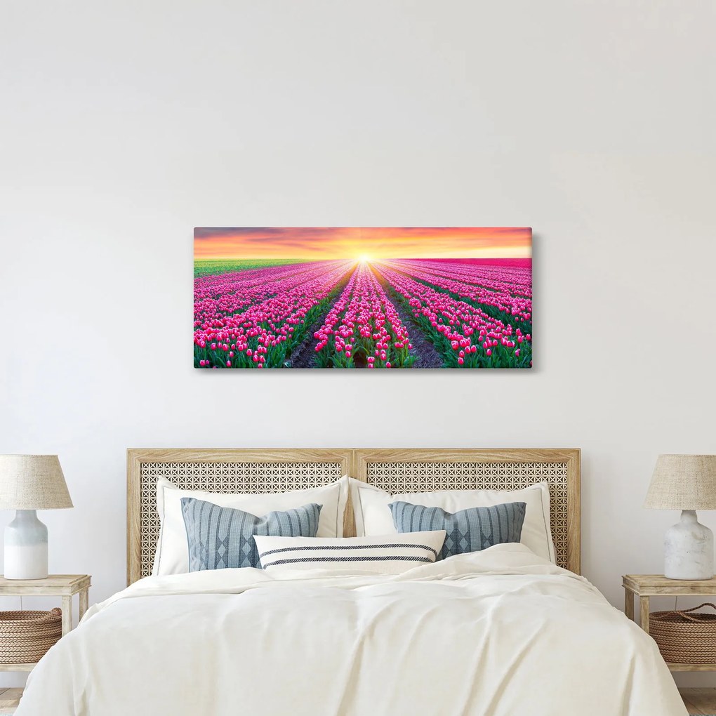 Tulipán mező és a nap képe (120x50 cm)