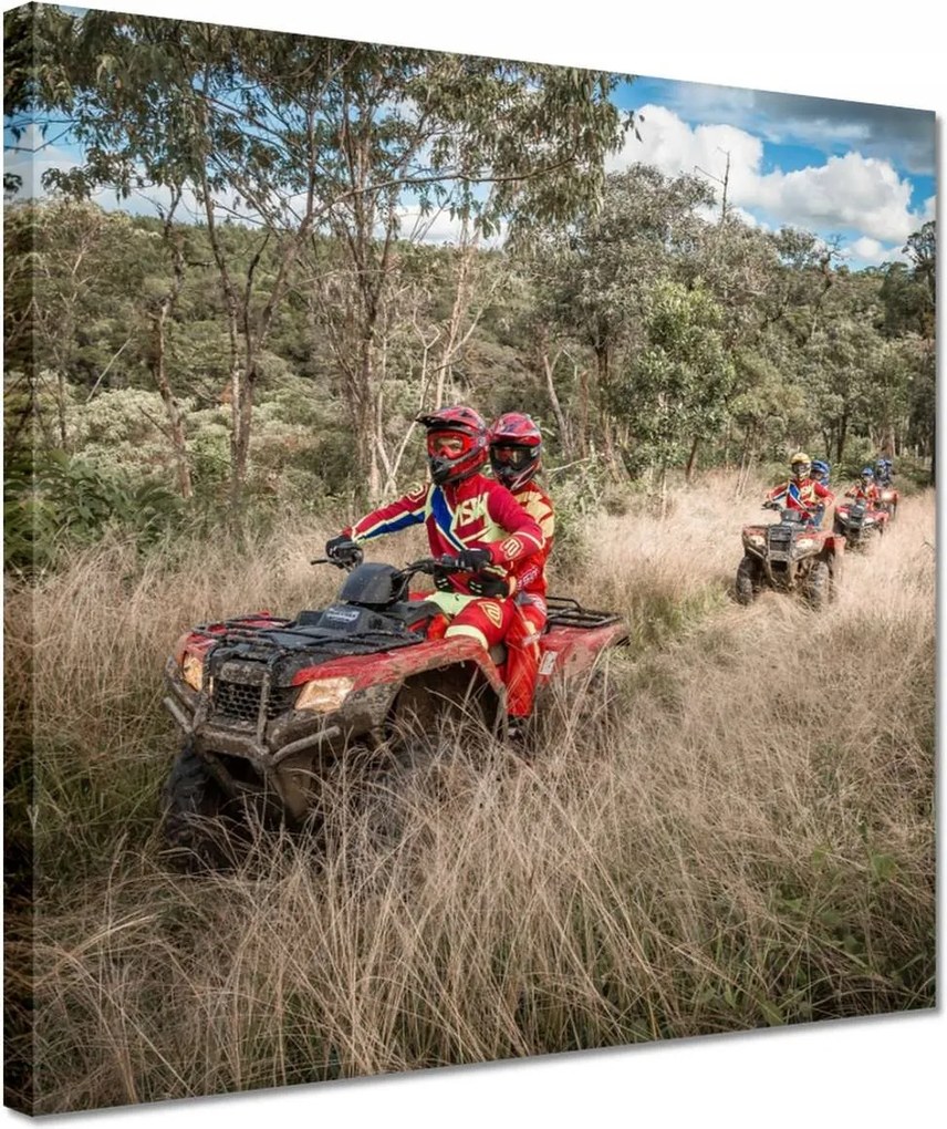 Vászonkép 30x30 Quad Négy kerék Terep