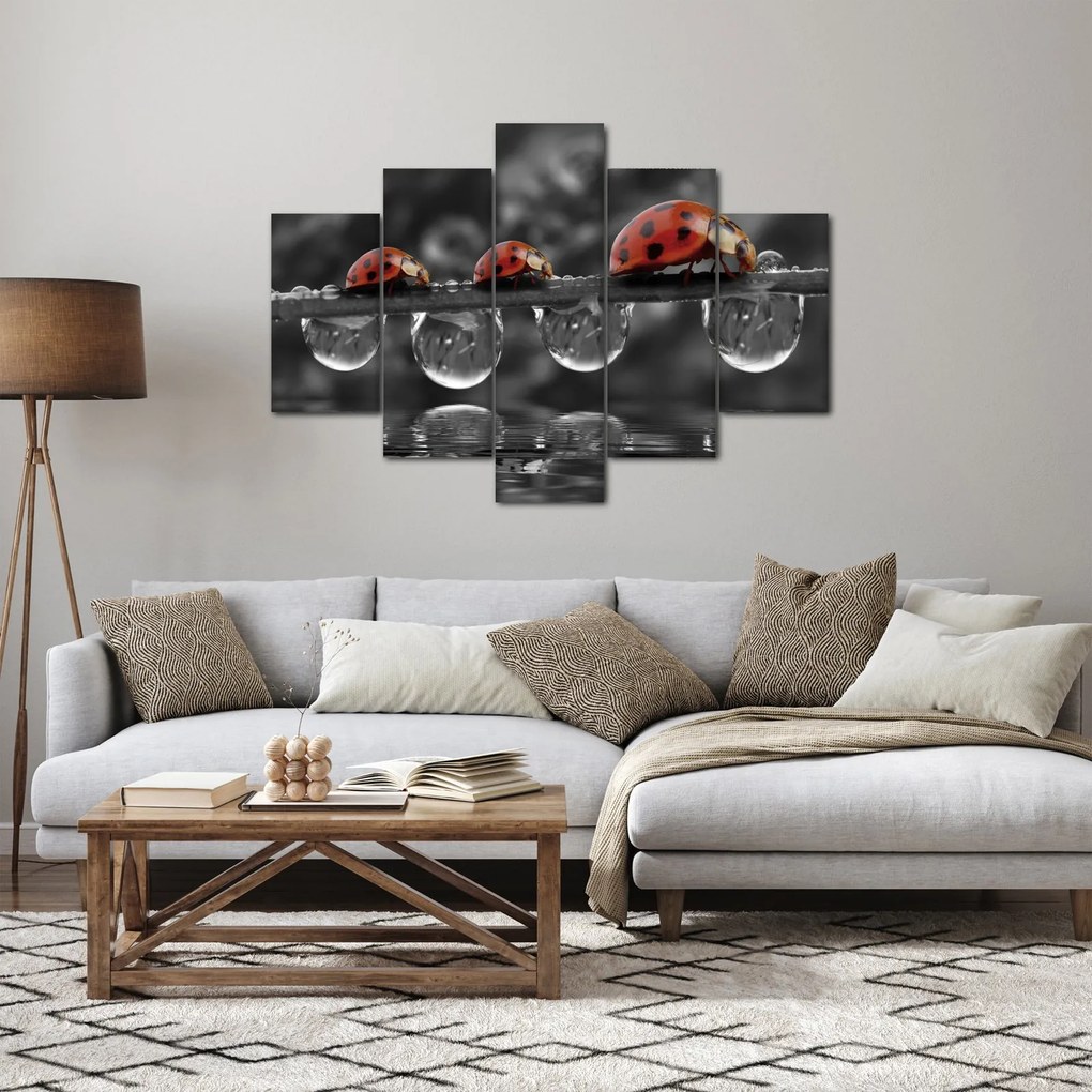 Kép - Napraforgó, fekete-fehér (150x105 cm)