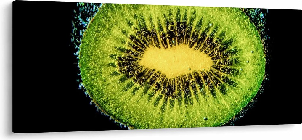 Kép - kivi részlete a vízben (120x50 cm)