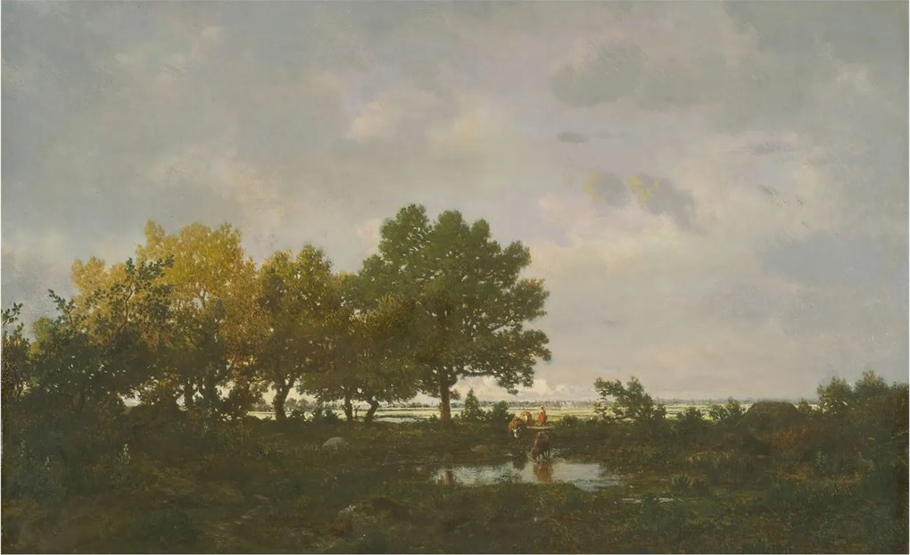 Flizelin fotótapéta Flizelin Designer Erdei tájkép 416x254 Ragasztó