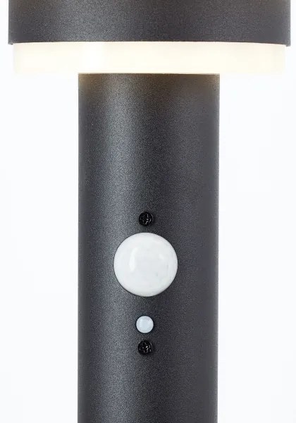 Brilliant - LED Napelemes lámpa érzékelővel GARVINA LED/3W/3,7V 85 cm IP44 fekete