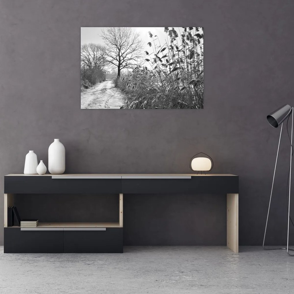 Kép - Mezők télen (90x60 cm)