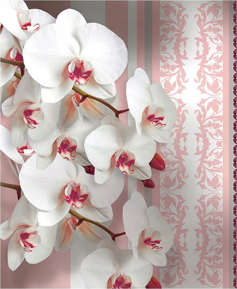 Fotótapéta Orchideák fehér-rózsaszín modern vinil 184x254 +ragasztó