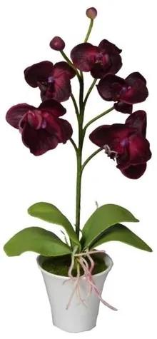 Mű orchidea virágtartóban, sötétpiros, 35 cm