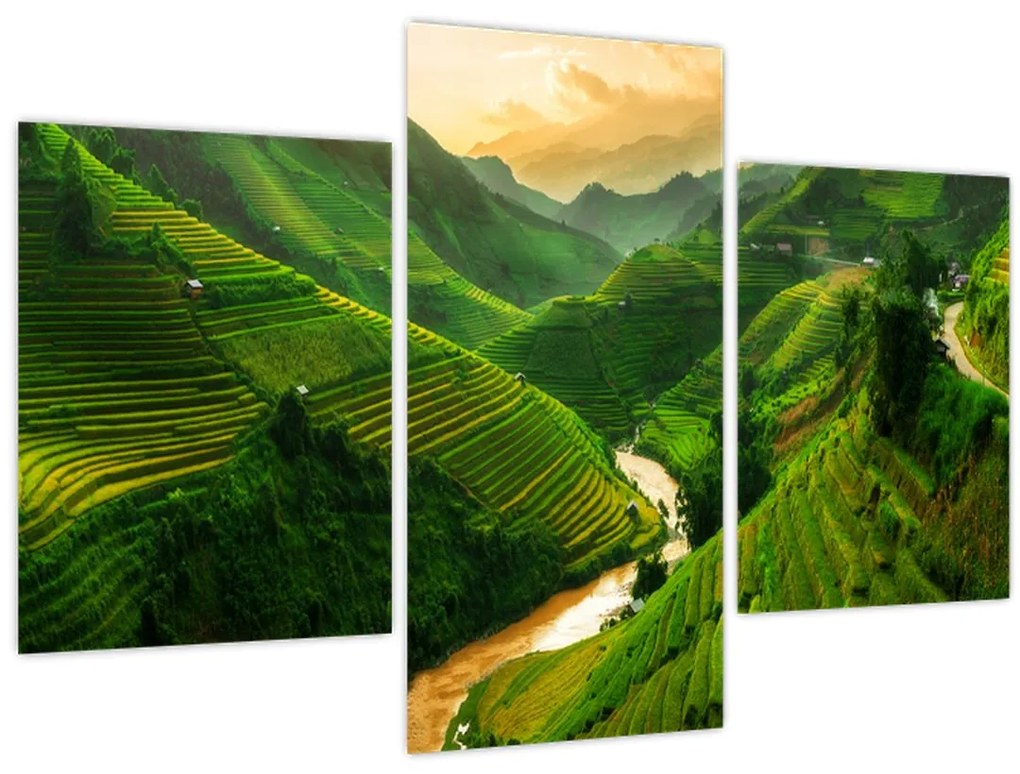 Kép - Mu Cang Chai rizsteraszok (90x60 cm)