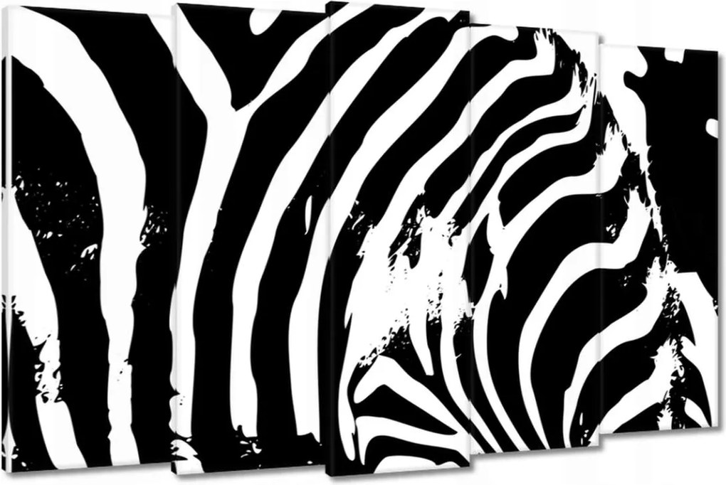 Vászonkép 150x95 Zebra csíkos kisállat