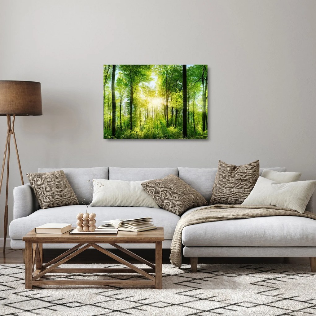 Kép - Hajnal az erdőben (üvegen) (70x50 cm)