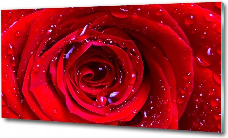 Fotó vászonkép edzett üveg Rózsa virág 125x50