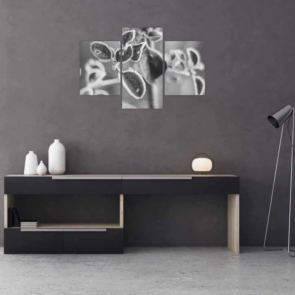 Kép - Őszi természet (90x60 cm)
