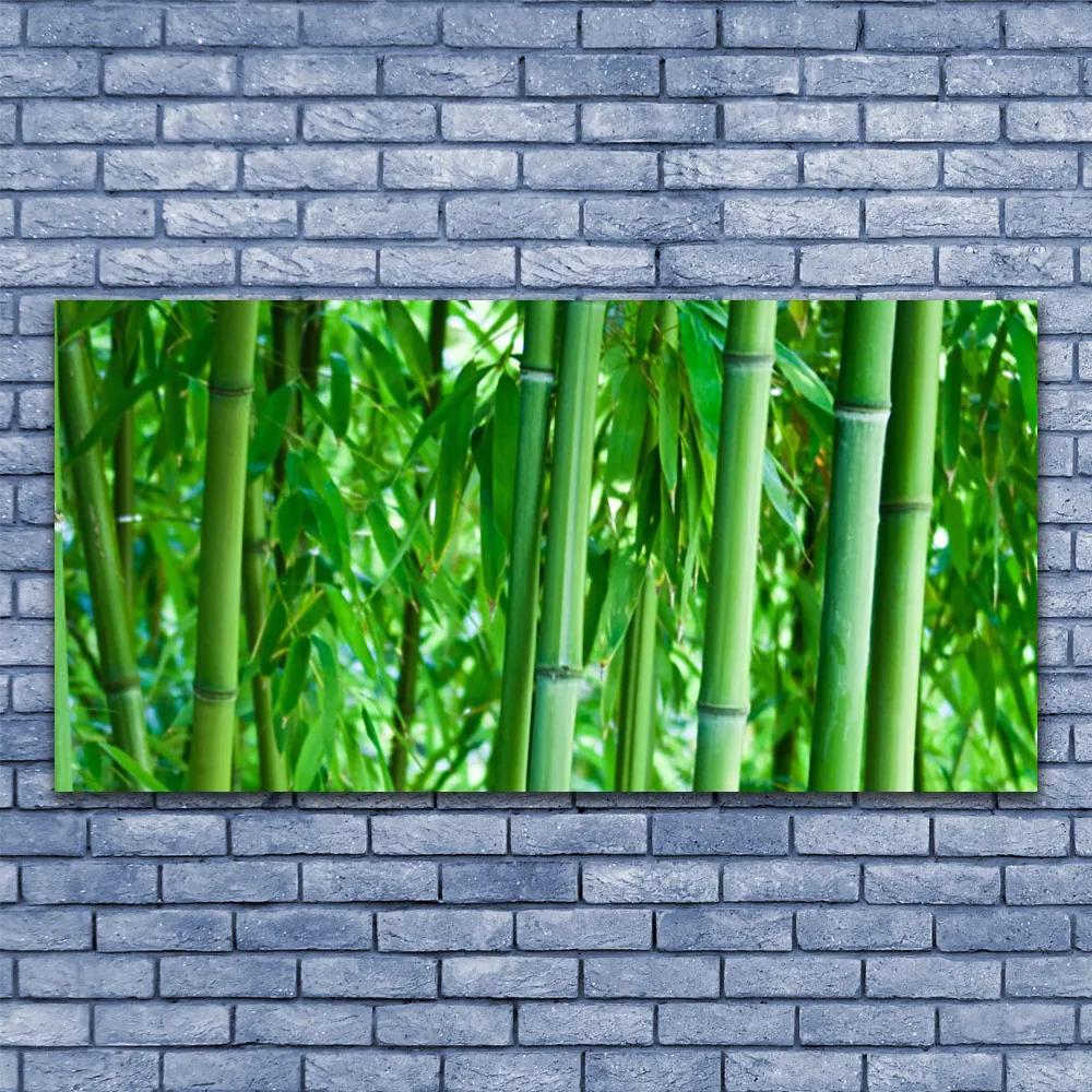 Canvas kép Bamboo Stem Plant 100x50 cm