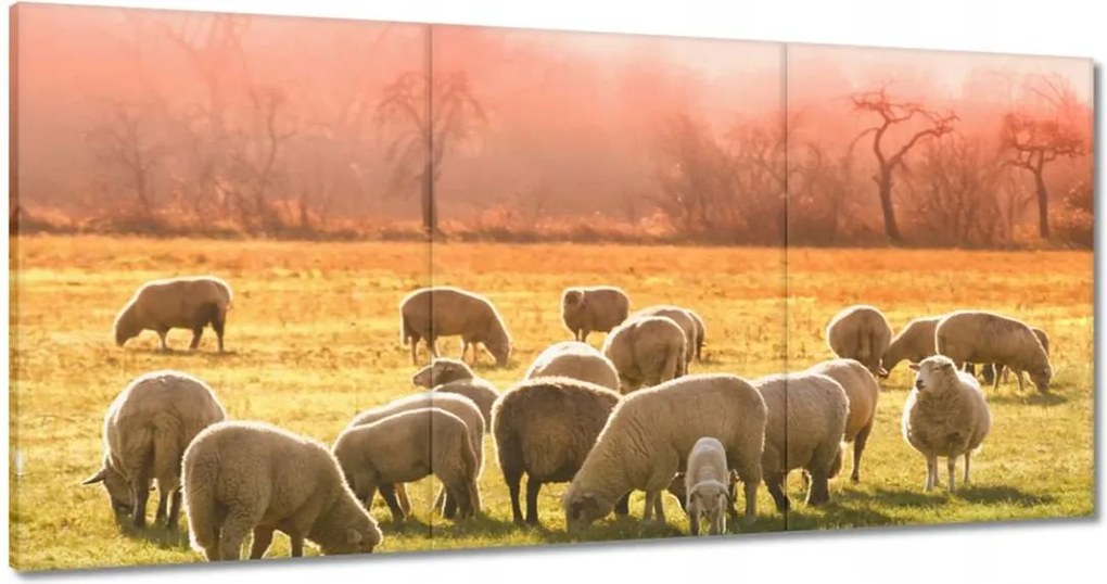 Vászonkép 180x90 Juh legeltetés Bárányok