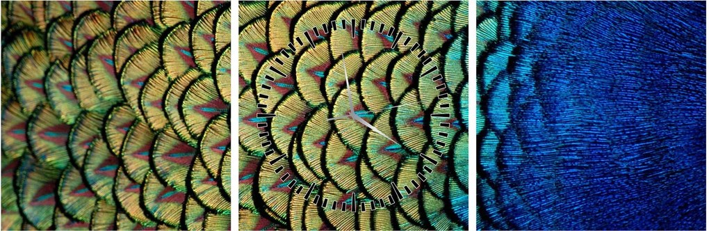 Kép - Pávatollak (órával) (90x30 cm)