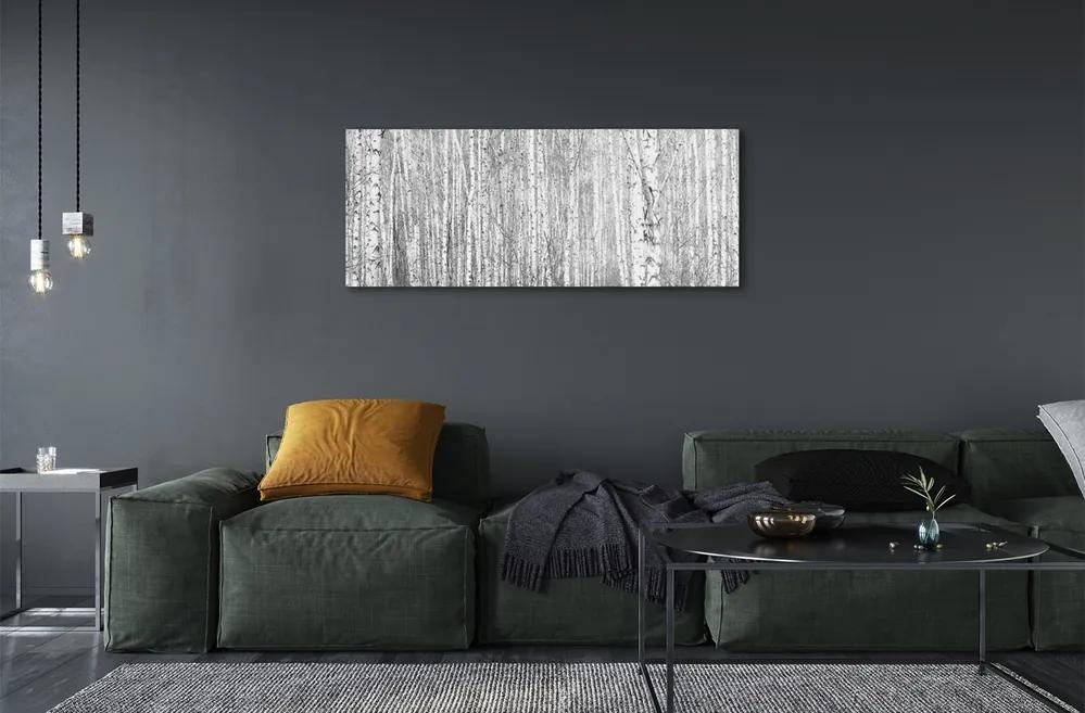 Üvegképek Fekete-fehér fa erdő 120x60cm