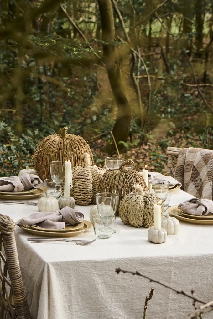 AKCIÓ Dísztök PUMPKIN COACH GRASS II. osztály