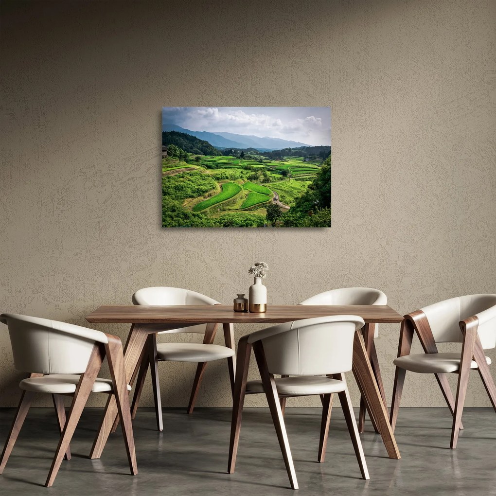 Rizsmező képe (üvegen) (70x50 cm)