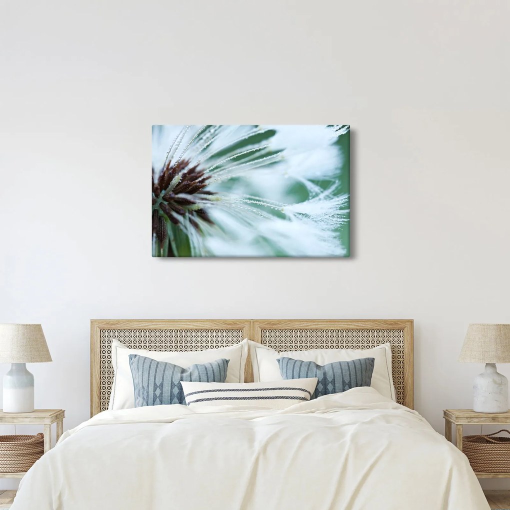 Kép - Egy virág részlete (90x60 cm)
