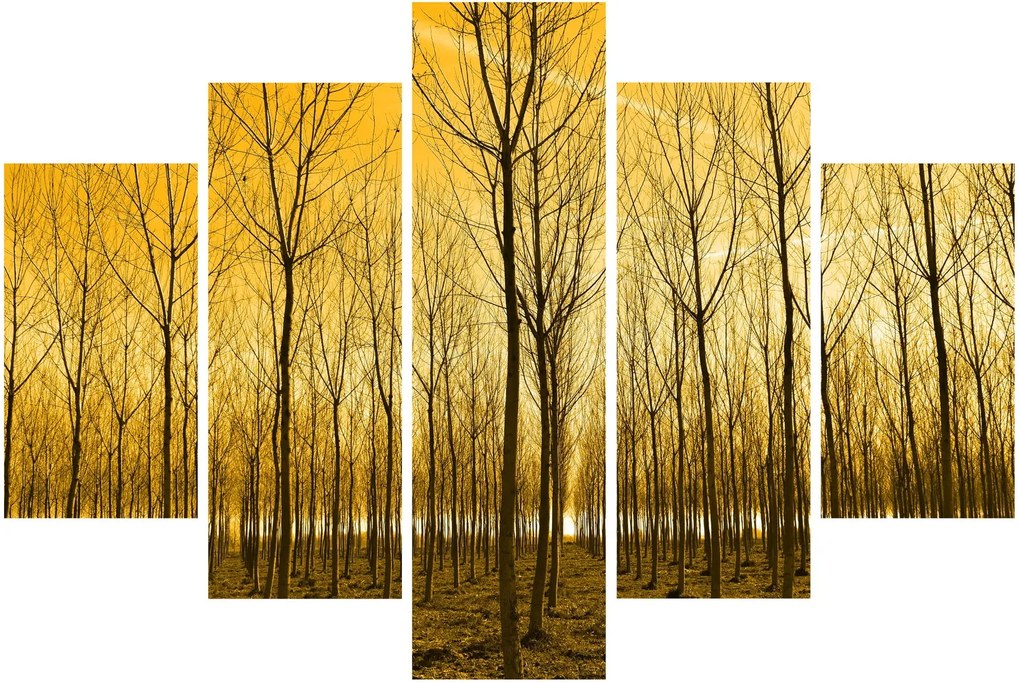 Egy erdő naplementekor képe (150x105 cm)