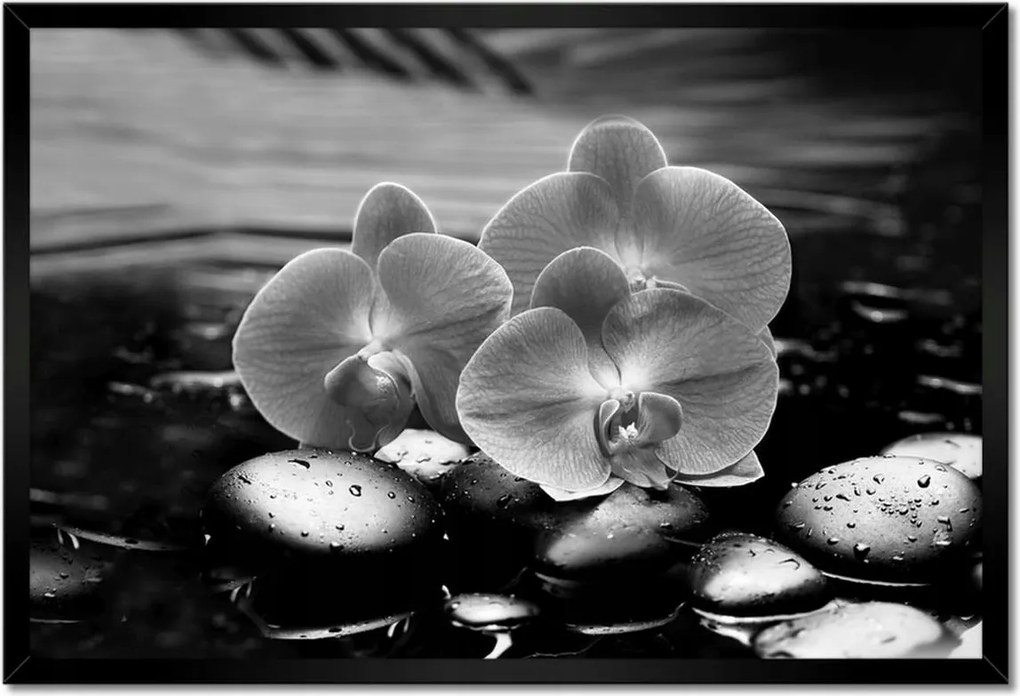 Poszterek keretben 60x40 Orchideák a köveken