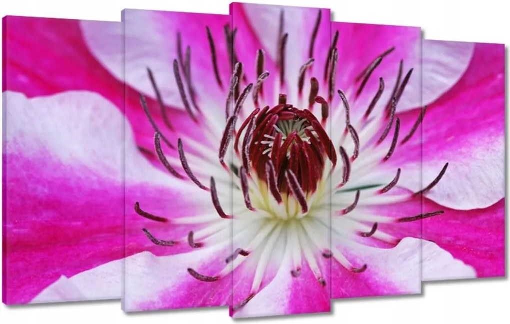 Vászonkép 100x60 Fehér-lila szirmok