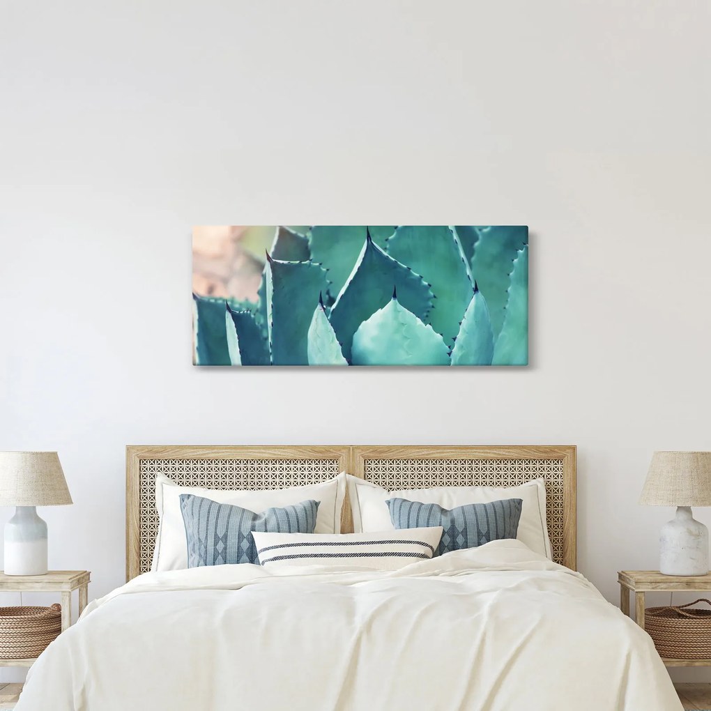 Kép - Szukulent (120x50 cm)