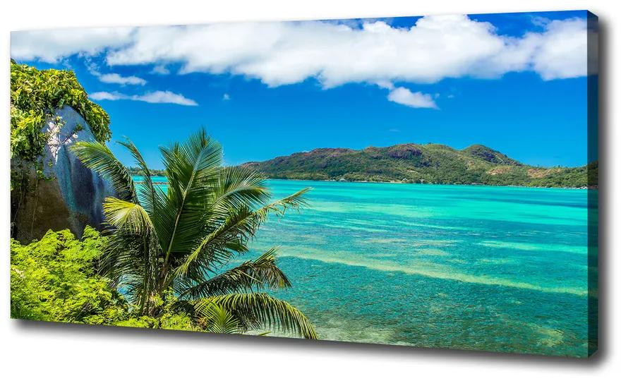 Vászon nyomtatás Seychelle-szigeteki parti pl-oc-100x50-f-93632488
