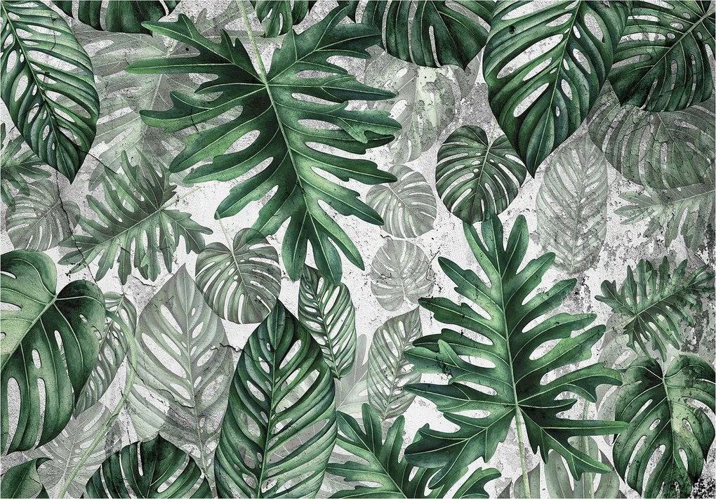 Monstera flizelin fotótapéta egzotikum és természet 520x318 +ragasztó
