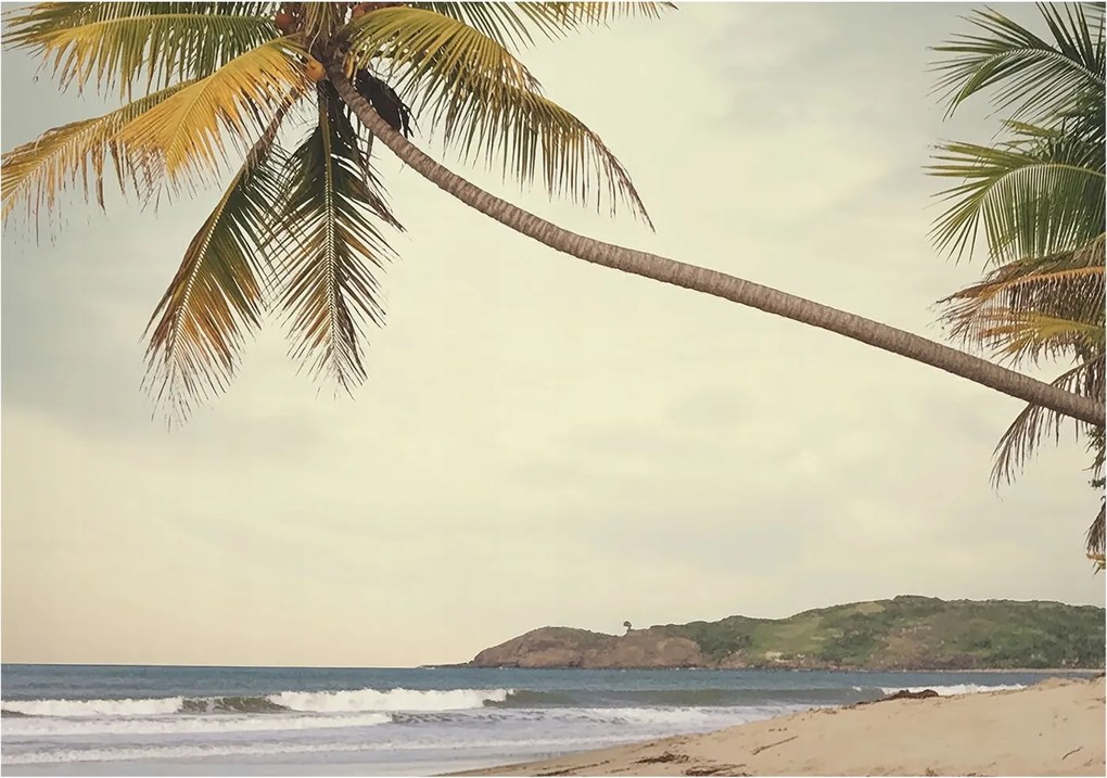 Fotótapéta Flizelin Dekoratív Hálószoba Trópusi tájkép 312x219