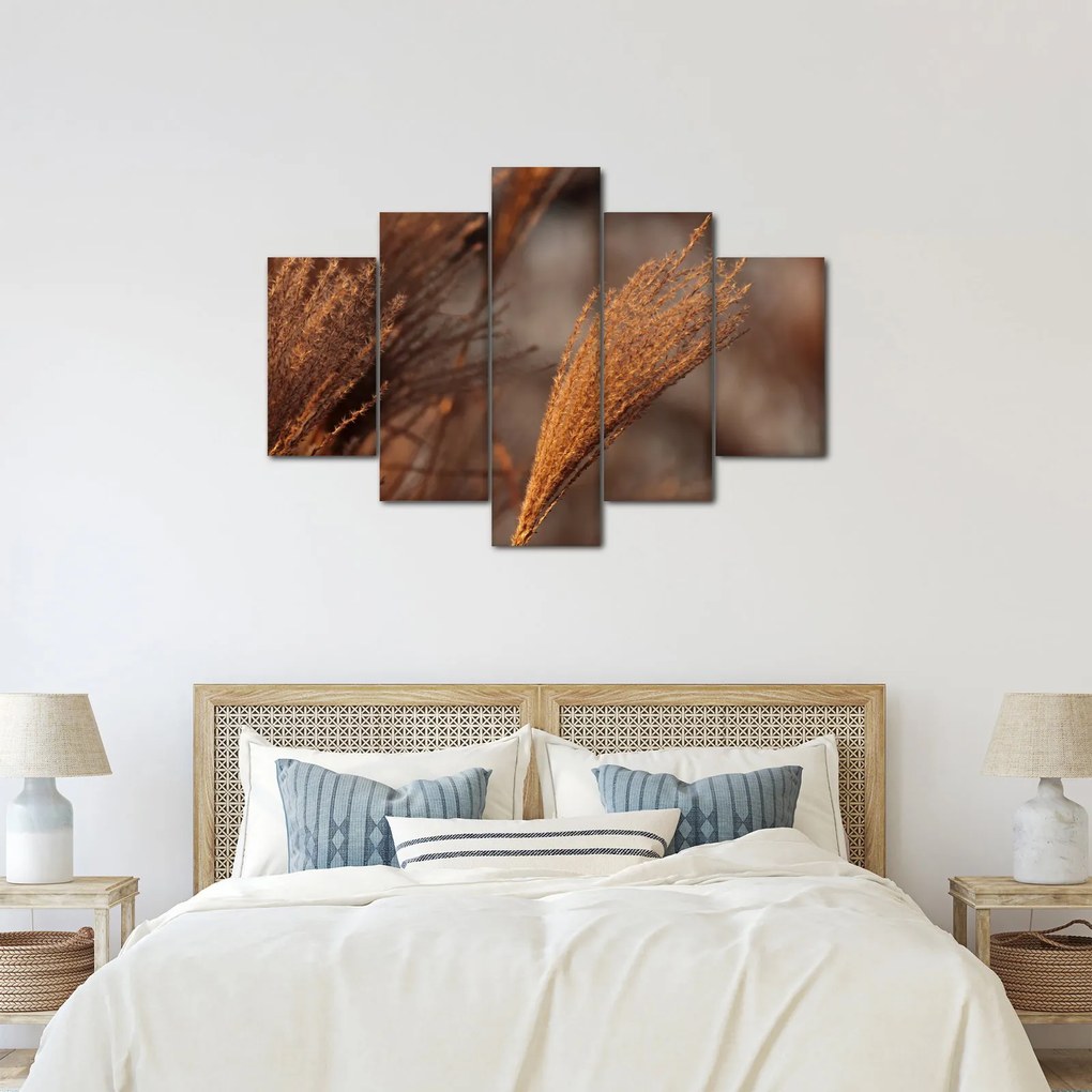 Kép - Cortaderia (150x105 cm)