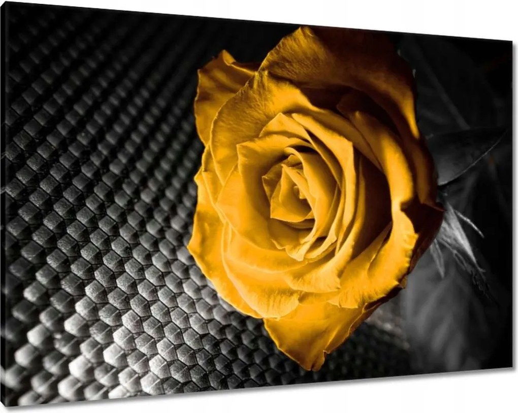 Vászonkép 100x70 Sárga rózsa