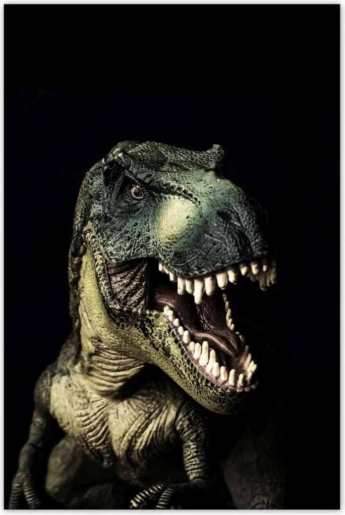 Poszterek 80x120 Tyrannosaurus-t-rex fekete