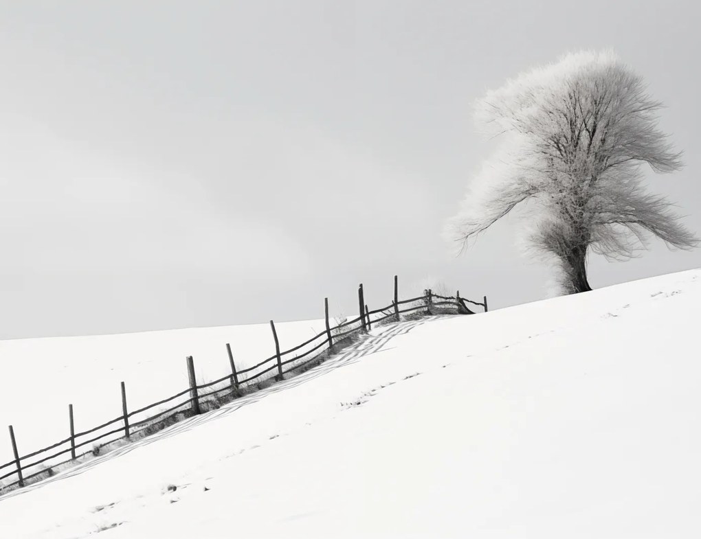 Poszter 65x50cm Magány a télben a kerítésnél