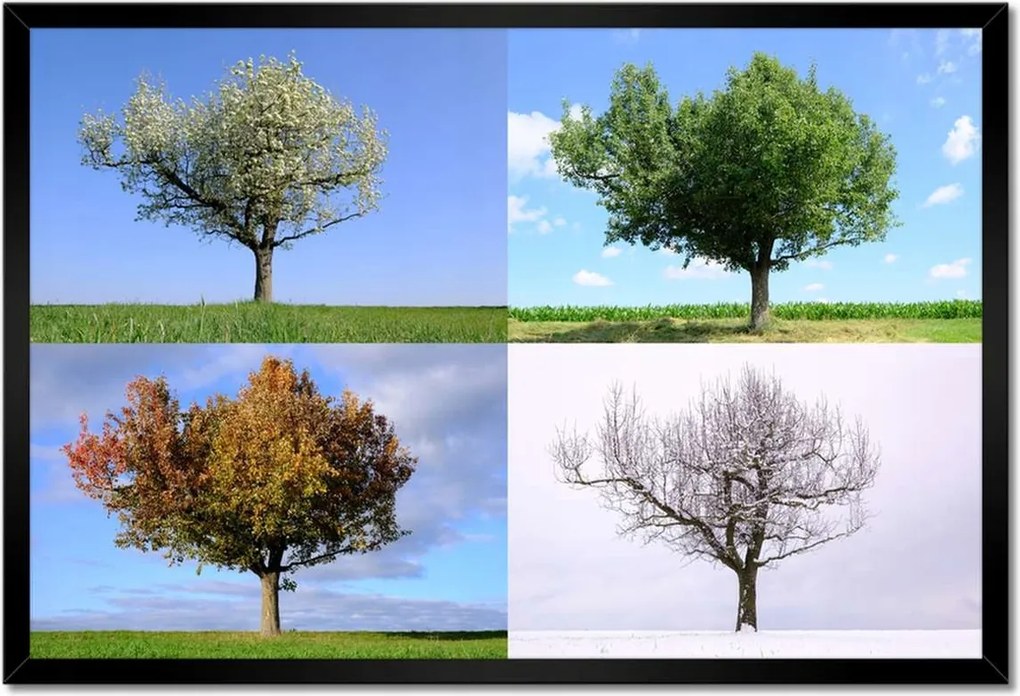 Poszterek keretben 60x40 Négy évszak Fa