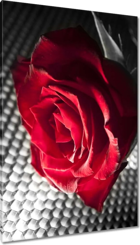 Vászonkép 80x120 Rózsa egy nőnek