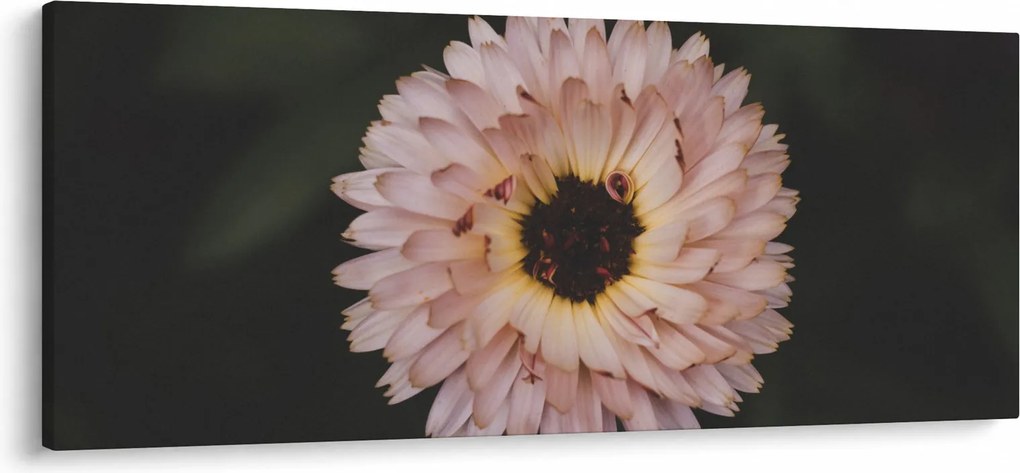 Narancsságra virág képe (120x50 cm)