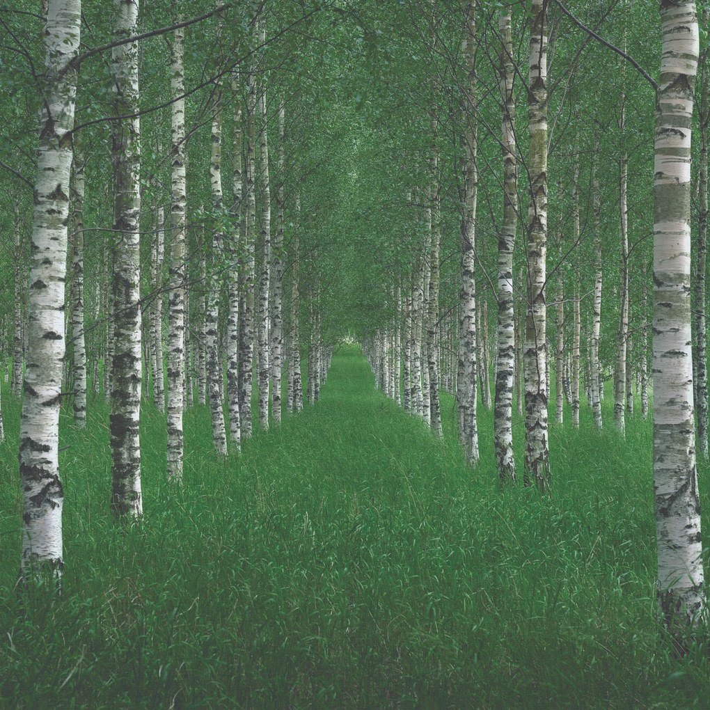 The Tunnel By Christian Lindsten tapéta - Vinil beton szerkezettel, 200x200 cm