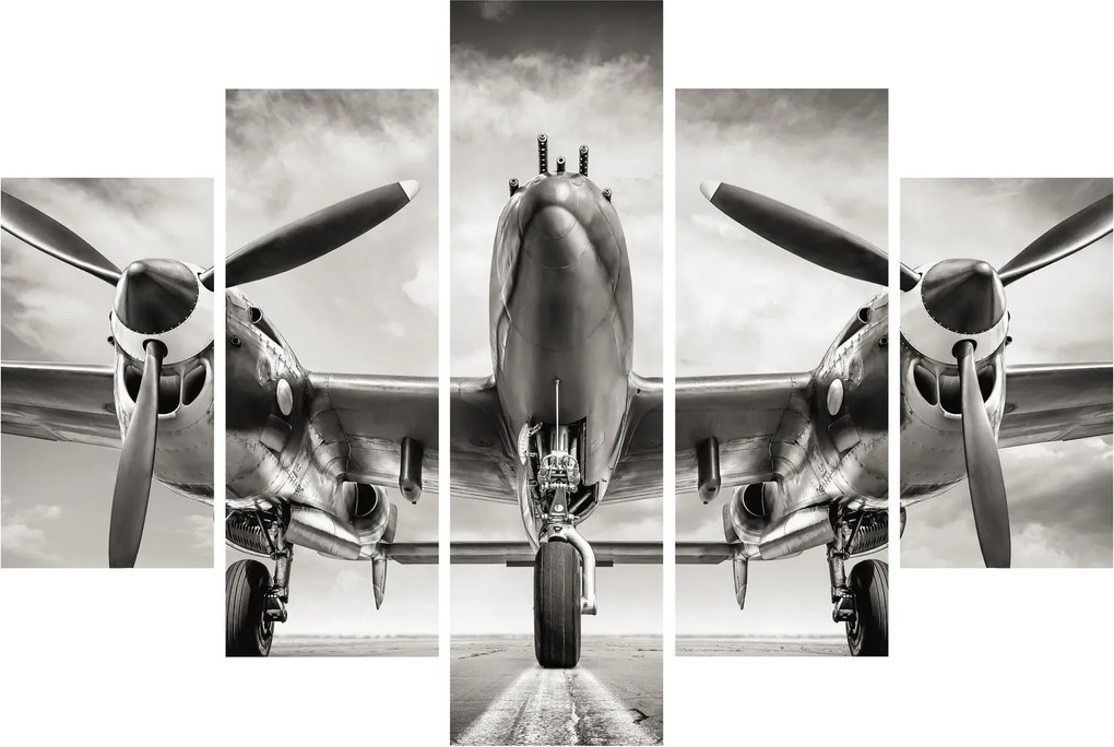 Kép - Warbird (150x105 cm)